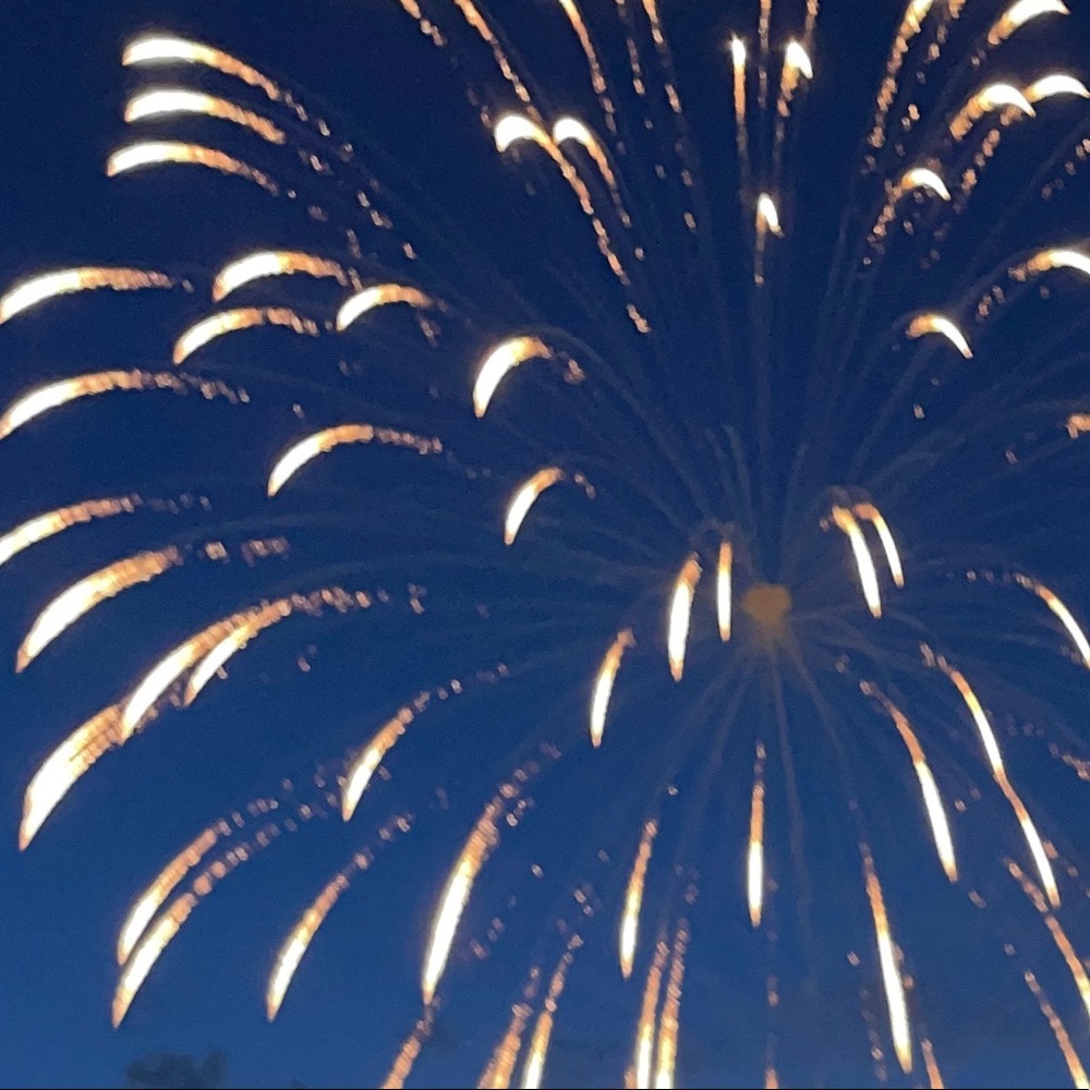 Meet your Posher, Ava